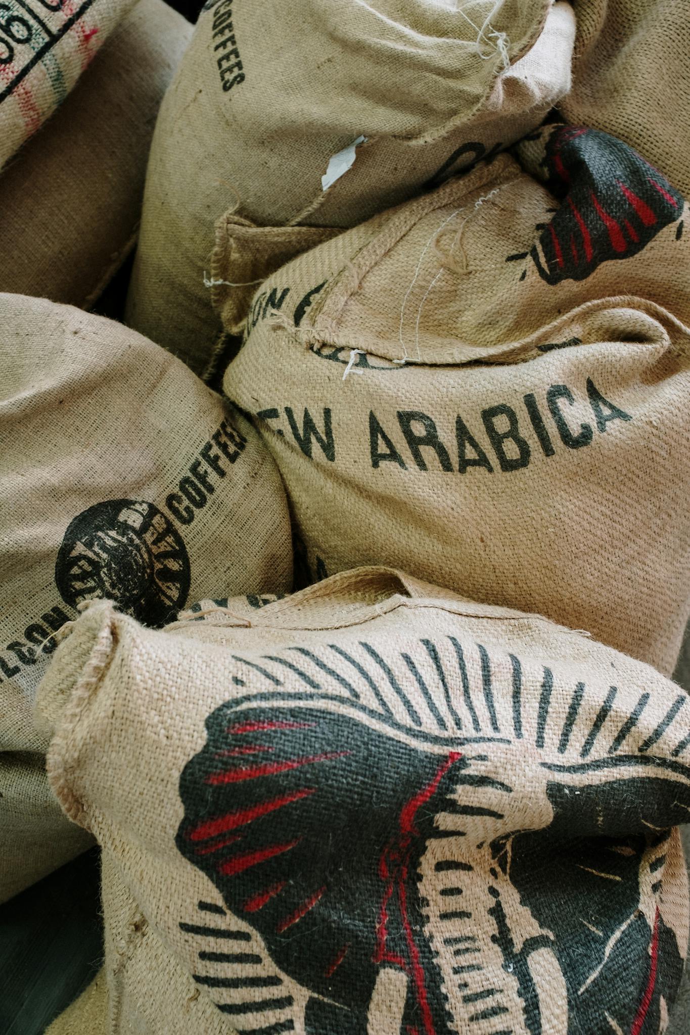 Burlap sacks filled with raw Arabica coffee beans, perfect for organic roasters.